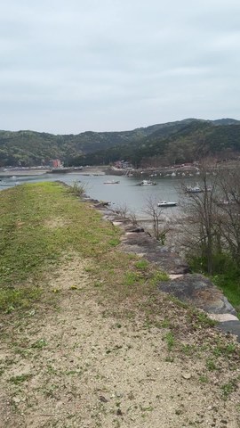 VID_20260417_095041327.mp4