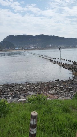 VID_20260417_140805576.mp4