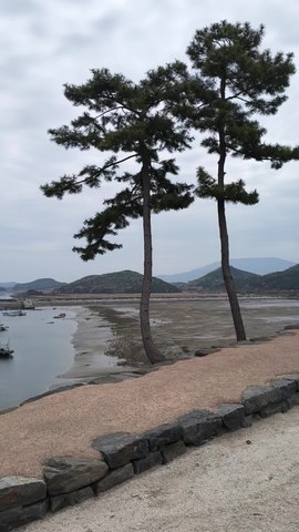 VID_20260417_100209357.mp4