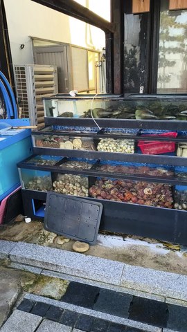 VID_20260418_072944625.mp4