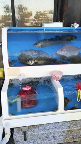 VID_20260418_073000043.mp4