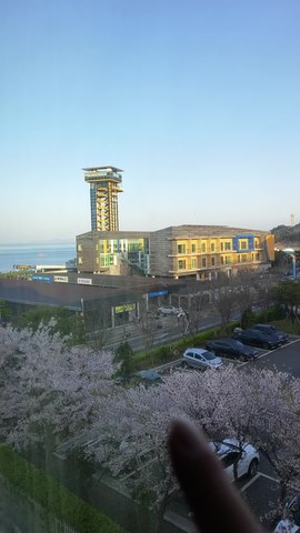 VID_20260418_065507640.mp4