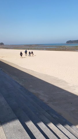 VID_20260418_094904526.mp4