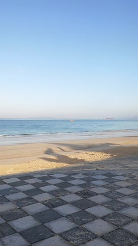 VID_20260418_070949772.mp4