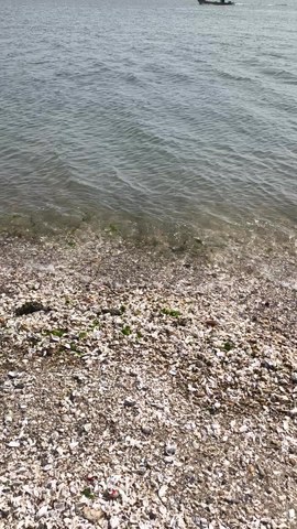 VID_20260418_145805665.mp4