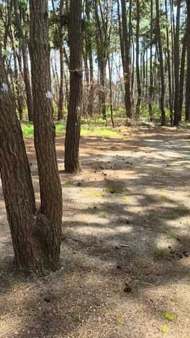 VID_20260418_134012798.mp4