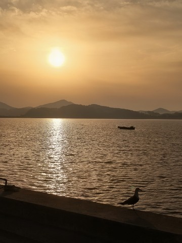 IMG_20260419_064213609_HDR~2.jpg