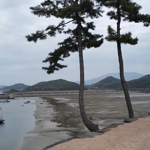 VID_20260420_143338_378.mp4