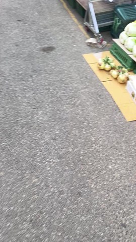 VID_20260420_072804854.mp4