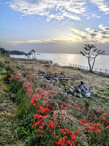IMG_20260421_183601728_HDR~2.jpg