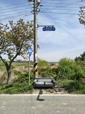 IMG_20260421_105412309_HDR.jpg