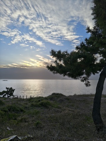 IMG_20260421_183757069_HDR.jpg