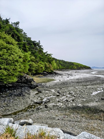 IMG_20260422_132103422_HDR~2.jpg