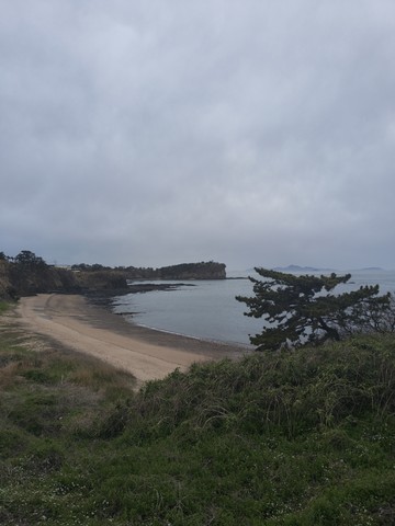 IMG_20260422_093539107.jpg