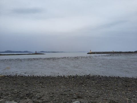 IMG_20260422_112636275.jpg