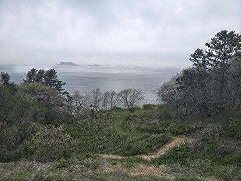 IMG_20260422_084646134_HDR.jpg