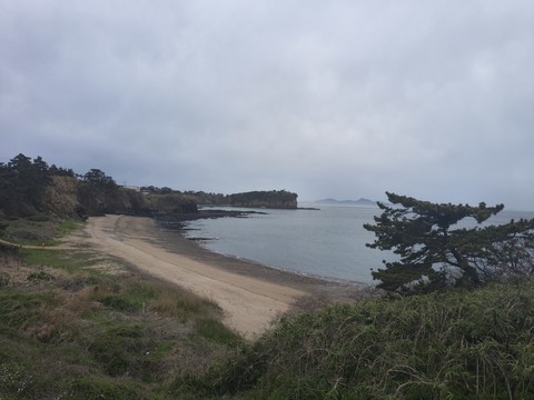 IMG_20260422_093551218.jpg