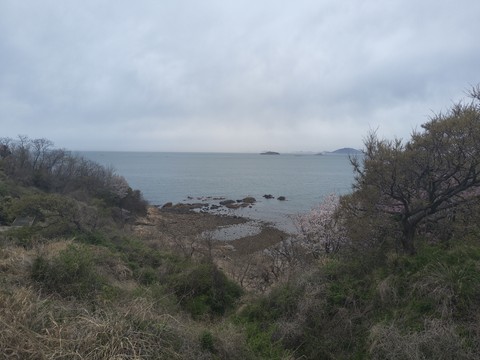 IMG_20260422_092024968.jpg