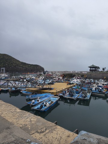 IMG_20260422_101928560.jpg