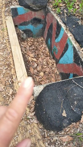 VID_20260422_071822509.mp4