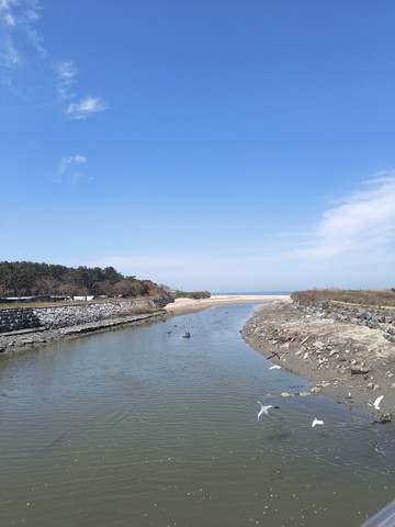 IMG_20260424_105257999.jpg