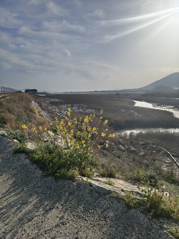 IMG_20260424_074437091_HDR.jpg