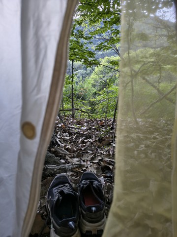IMG_20260424_055055387_HDR.jpg