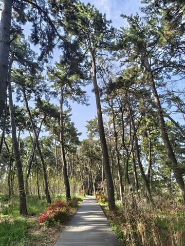 IMG_20260424_085046145_HDR.jpg