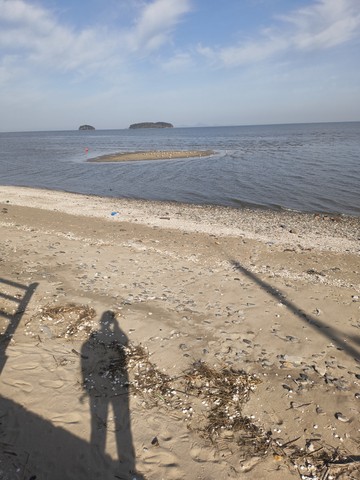 IMG_20260424_082542682.jpg