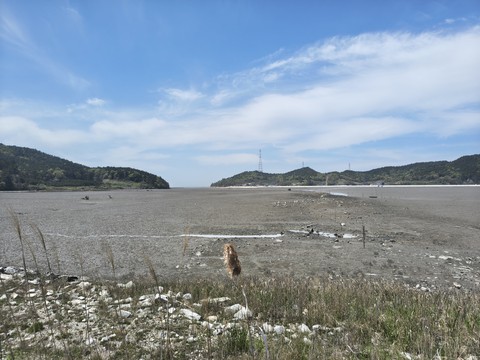 IMG_20260424_123324713_HDR.jpg
