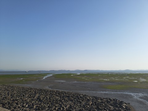 IMG_20260425_174153196.jpg