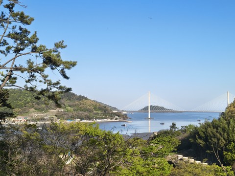 IMG_20260425_074430601_HDR.jpg