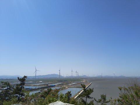 IMG_20260425_105036165.jpg