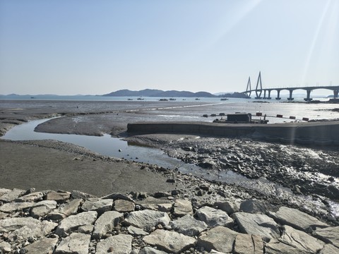 IMG_20260425_162656483_HDR.jpg