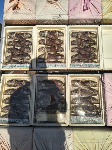 IMG_20260425_071746966_HDR.jpg