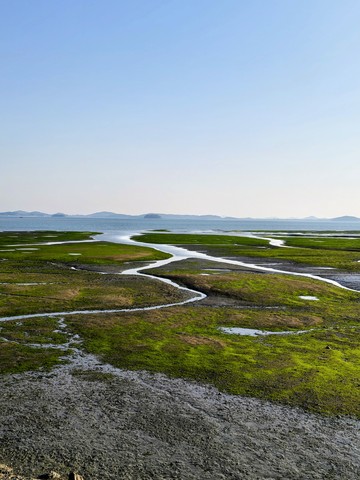 IMG_20260425_174324763_HDR~2.jpg