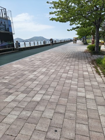 IMG_20260426_122236500_HDR.jpg