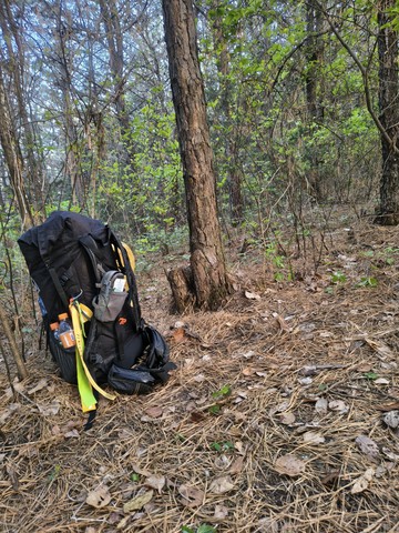 IMG_20260426_062103733_HDR.jpg