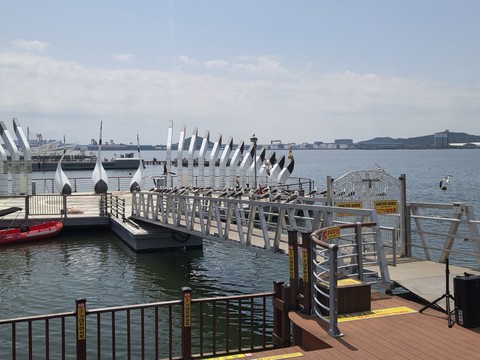 IMG_20260426_114934202.jpg