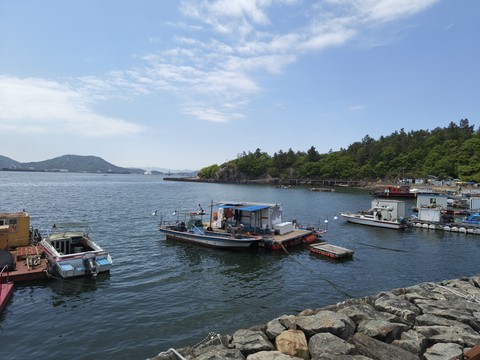 IMG_20260426_122527126.jpg