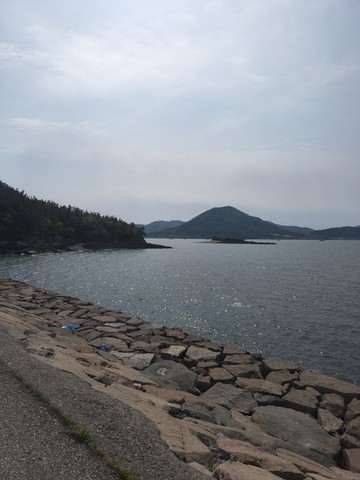 IMG_20260427_150230319.jpg