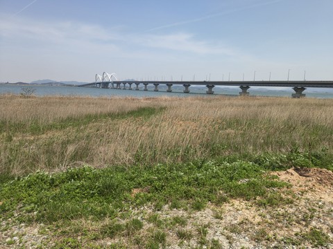 IMG_20260427_124737152.jpg