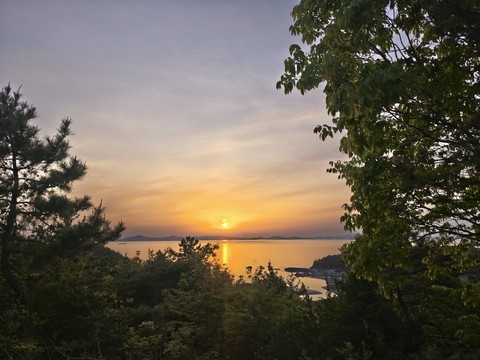IMG_20260427_190241375_HDR.jpg