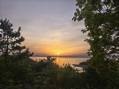 IMG_20260427_190237528_HDR.jpg