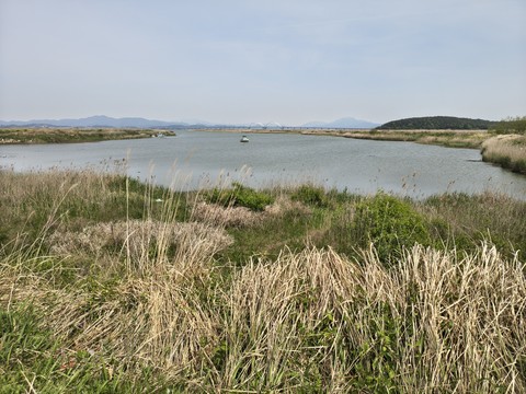IMG_20260427_132347822_HDR.jpg