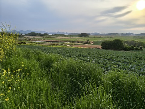 IMG_20260428_180935244_HDR.jpg