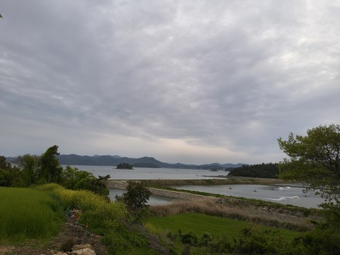 IMG_20260428_184416876.jpg