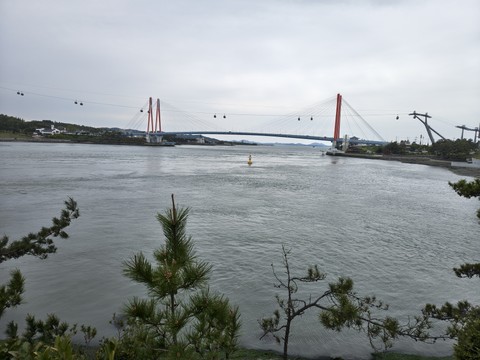 IMG_20260428_150351608_HDR.jpg