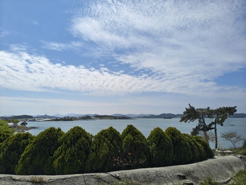 IMG_20260428_111207390_HDR.jpg