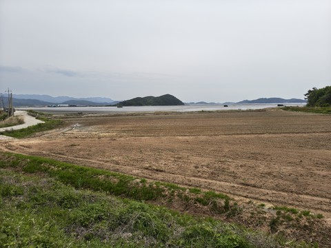IMG_20260429_150329462_HDR.jpg